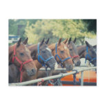 Polo Pony String postcards