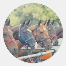 Polo Pony String Round Sticker