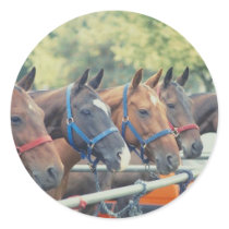 Polo Pony String stickers by HorseLoversGifts Polo Pony String stickers