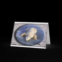Poloar Bear Holiday card #4 cards