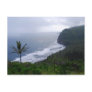 Pololu Valley Lookout with Palm Tree, Hawaii, Post Postcards