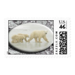 Polsr bear postage #3
