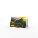 Poly Canyon cards