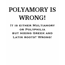POLYAMORY IS WRONG! t-shirts