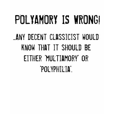 POLYAMORY IS WRONG! TSHIRTS by StauffeDante