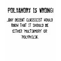 POLYAMORY IS WRONG! t-shirts by StauffeDante POLYAMORY IS WRONG! t-shirts