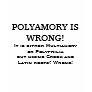 POLYAMORY IS WRONG! T-SHIRTS