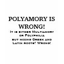 POLYAMORY IS WRONG! t-shirts