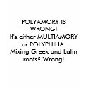 POLYAMORY IS WRONG! t-shirts