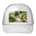 Polyatomic - Fractal Hat