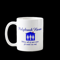 Polybrook Haven mugs