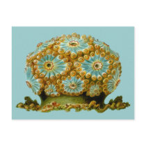 Polycyclus cyaneus, Ernst Haeckel Postcard