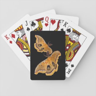 Polyphemus Moth Playing Cards