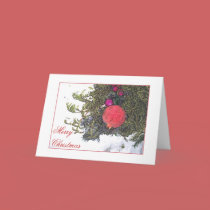 POM & GREENS Christmas Card by dequilla POM & GREENS Christmas Card