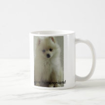 pom, I love Pomeranians! Coffee Mugs