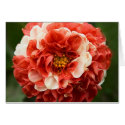 Pom-Pom Dahlia Card by designcreatology Pom-Pom Dahlia Card