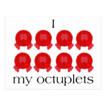 Pom Pom Octuplets Postcard postcards