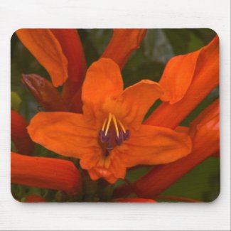 Pomegranate Blooms mousepad