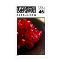 Pomegranate by Noa postage