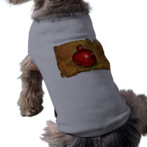 Pomegranate pet clothing