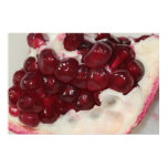Pomegranate on Canvas