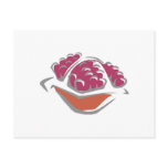 Pomegranate Postcard