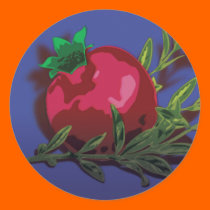 Pomegranate stickers