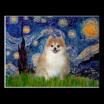 Pomeranian 1 - Starry Night postcards