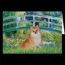 Pomeranian 3 - Bridge cards