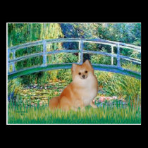 Pomeranian 3 - Bridge postcards