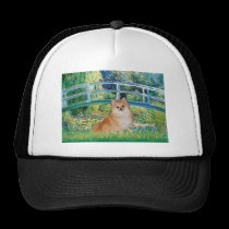 Pomeranian 3 - Bridge hats
