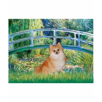 Pomeranian 3 - Bridge shirt
