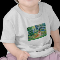 Pomeranian 3 - Bridge t-shirts