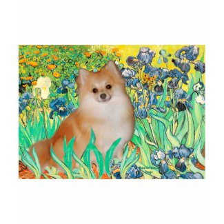 Pomeranian 3 - Irises shirt