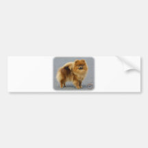 Pomeranian 9R042D-22 Bumper Stickers