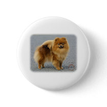 Pomeranian 9R042D-22 buttons by TraffordPhotos Pomeranian 9R042D-22 buttons