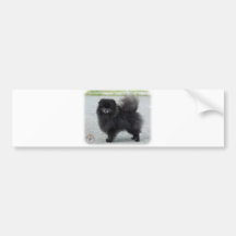 Pomeranian 9R042D-47 Bumper Stickers