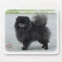 Pomeranian 9R042D-47 mousepads