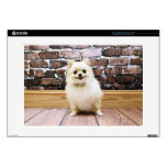 Pomeranian - Abby Vanity Collar Laptop Decals