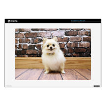 Pomeranian - Abby Vanity Collar Laptop Decals