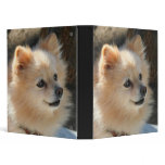 Pomeranian binder