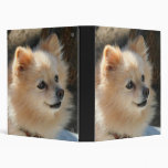 Pomeranian binder