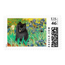 Pomeranian (black) - Irises Postage Stamp