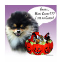 Pomeranian (blktan) Halloween Candy t-shirts