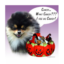 Pomeranian (blktan) Halloween Candy t-shirts