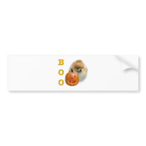 Pomeranian Boo bumper stickers by GreyWolfCreation Pomeranian Boo bumper stickers
