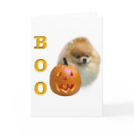 Pomeranian Boo Pomeranian Boo