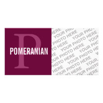 Pomeranian Breed Monogram Design Personalized Photo Card