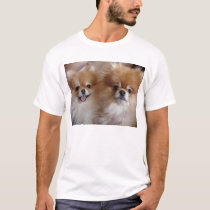 Pomeranian Buddies t-shirts