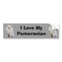 Pomeranian Bumper Sticker bumper stickers by normagolden Pomeranian Bumper Sticker bumper stickers